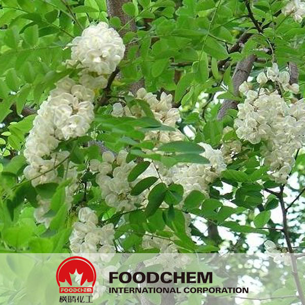 Sophora Japonica Extract